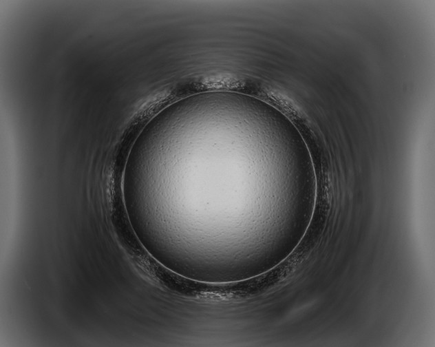 X0000085780690200703231246