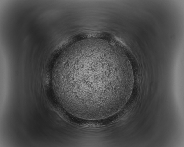 X0000085780691200703231246