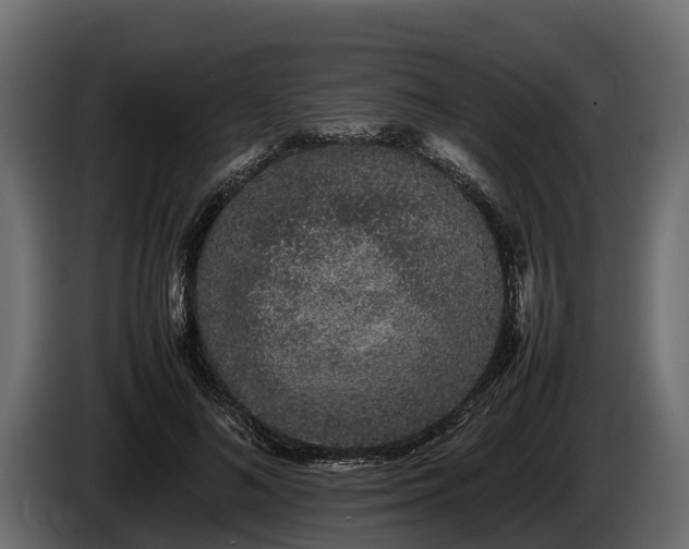 X0000085780692200703231246