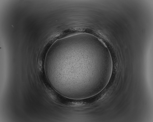 X0000085780693200703231246