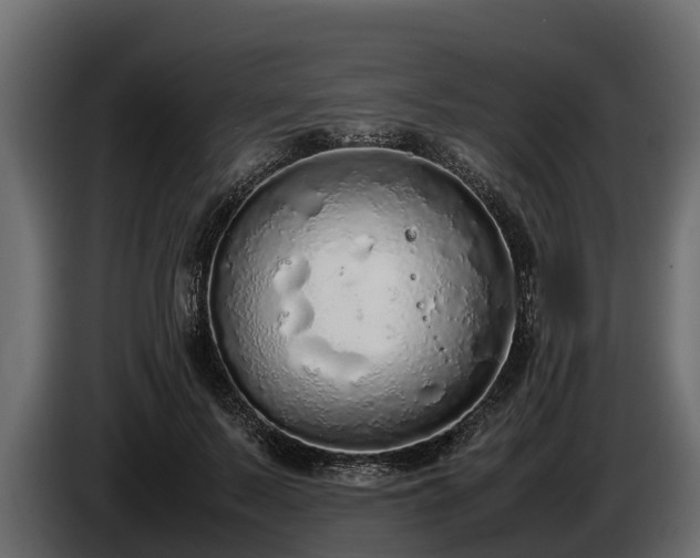 X0000085780695200703231246