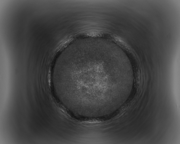 X0000085780696200703231246