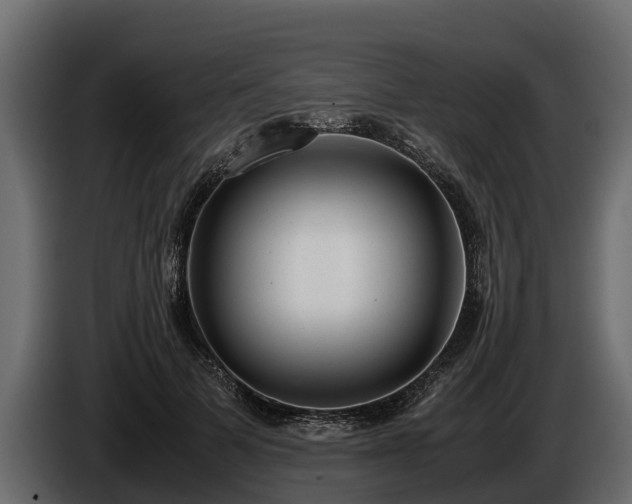 X0000085780697200703231246