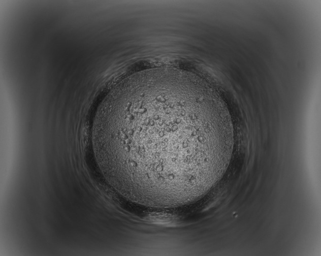 X0000085780699200703231246