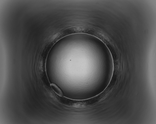 X0000085780700200703231246