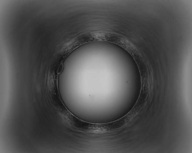 X0000085780702200703231246