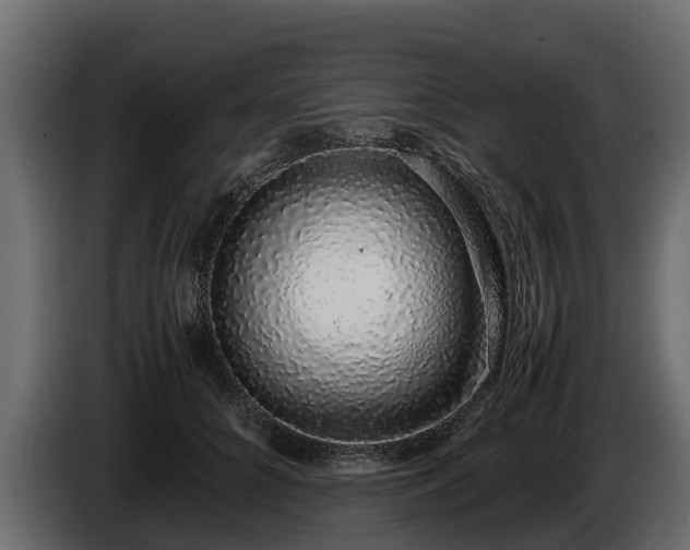 X0000085780704200703231246