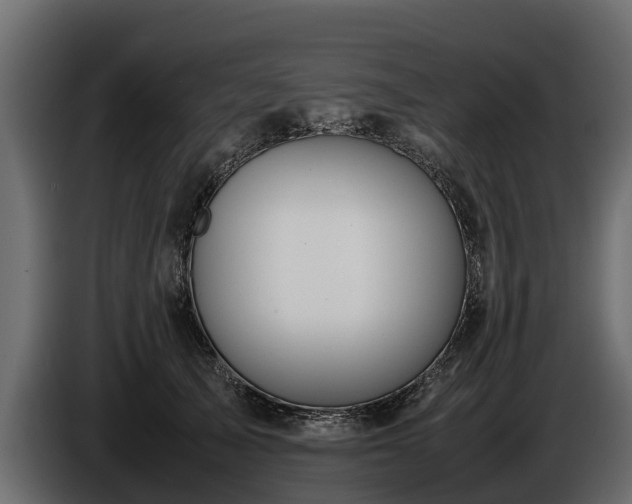 X0000085780705200703231246