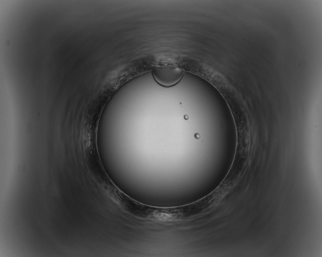 X0000085780706200703231246