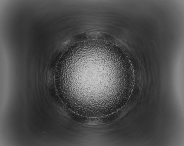 X0000085780708200703231246