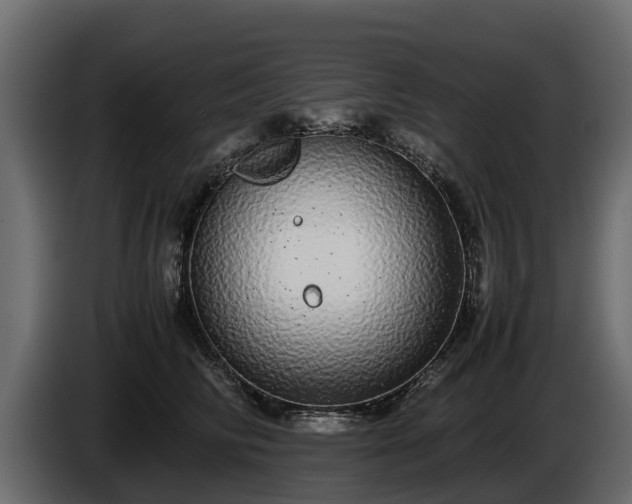 X0000085780710200703231246