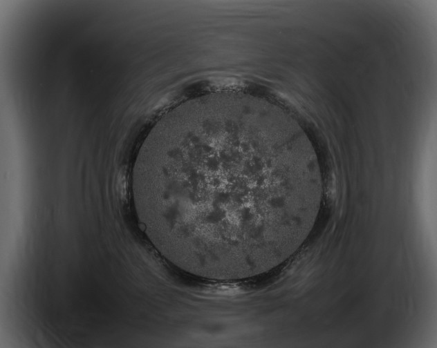 X0000085780715200703231246