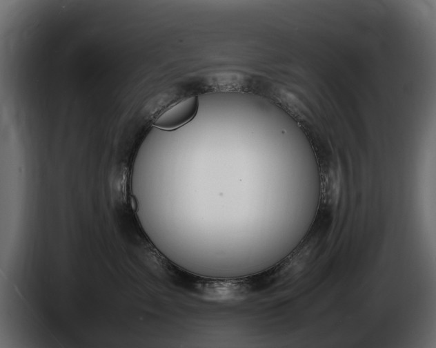 X0000085780717200703231246