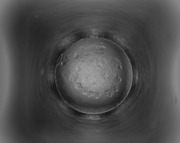 X0000085780719200703231246