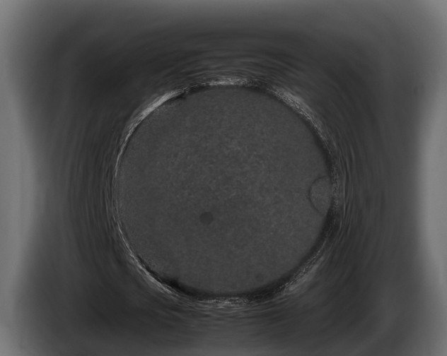 X0000085780721200703231245