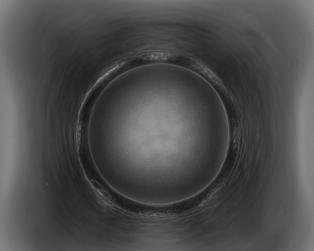 X0000085780722200703231245