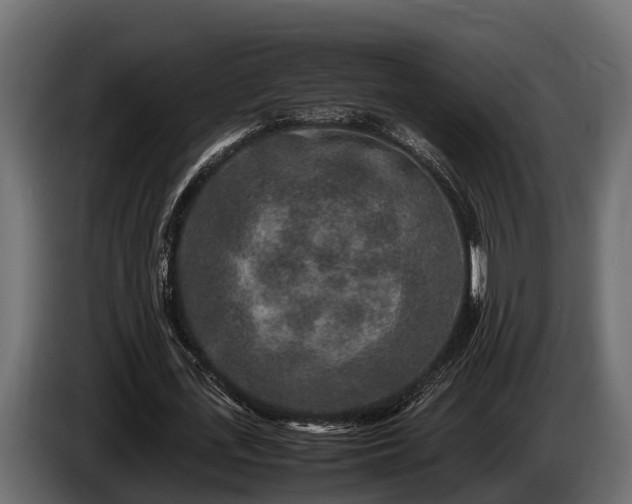 X0000085780723200703231245