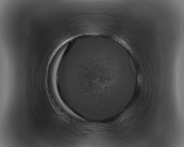 X0000085780724200703231245