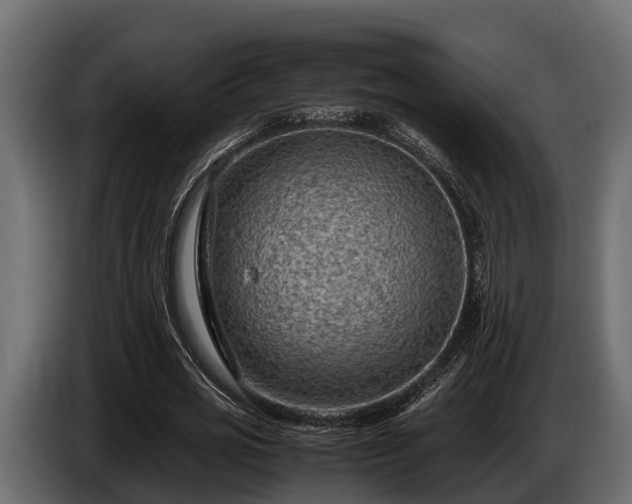 X0000085780725200703231245