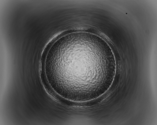 X0000085780726200703231245