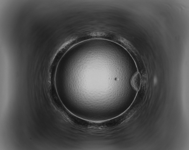 X0000085780727200703231245