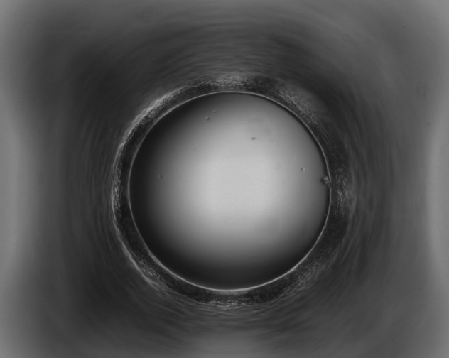 X0000085780728200703231245