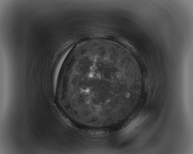 X0000085780729200703231245