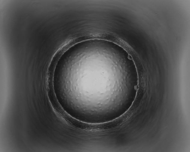 X0000085780730200703231245