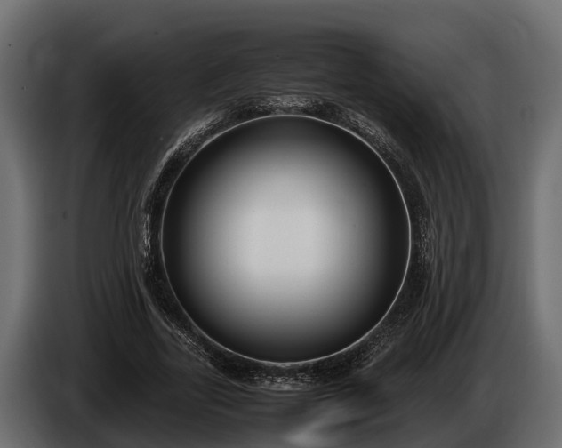 X0000085780731200703231245