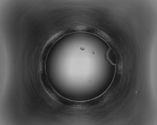 X0000085780732200703231245