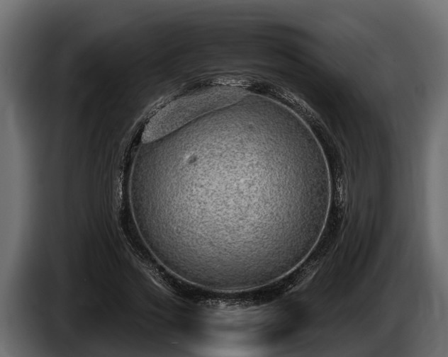 X0000085780733200703231245