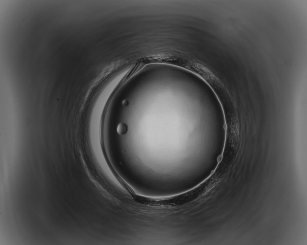 X0000085780734200703231245