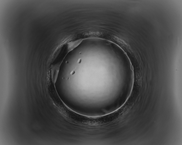 X0000085780735200703231245