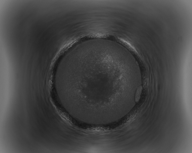 X0000085780736200703231245