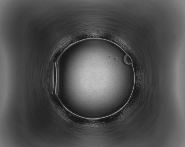 X0000085780738200703231245