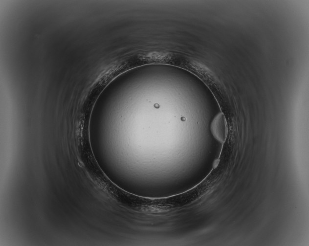 X0000085780739200703231245