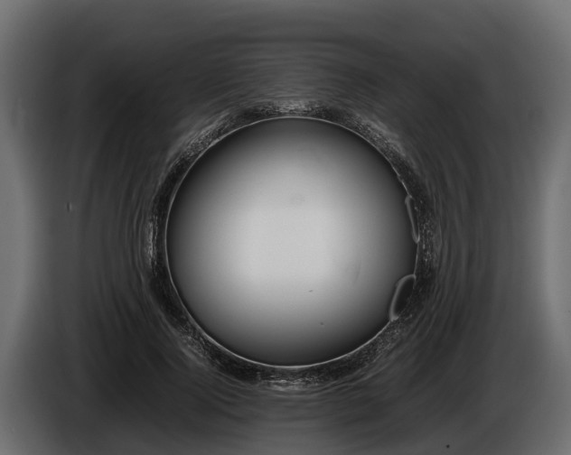 X0000085780740200703231245