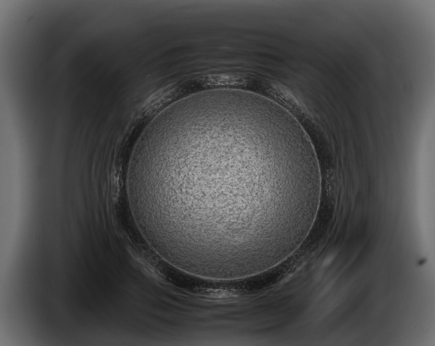 X0000085780741200703231245