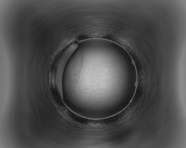 X0000085780742200703231245