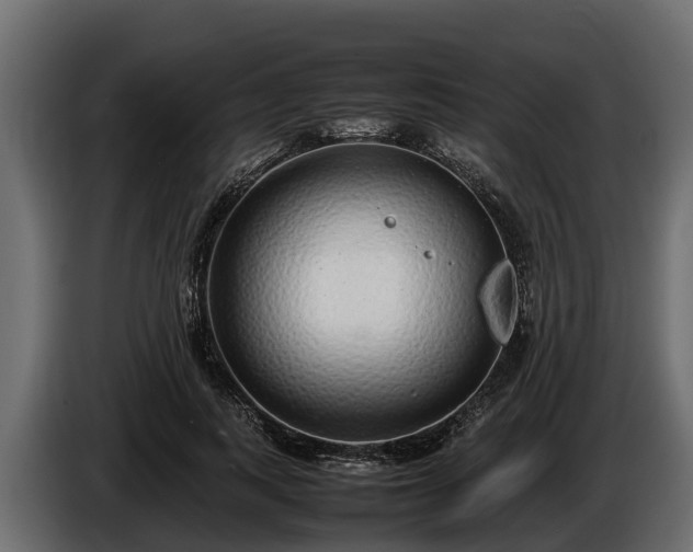 X0000085780743200703231245