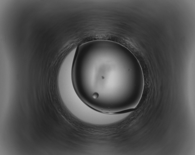 X0000085780744200703231245