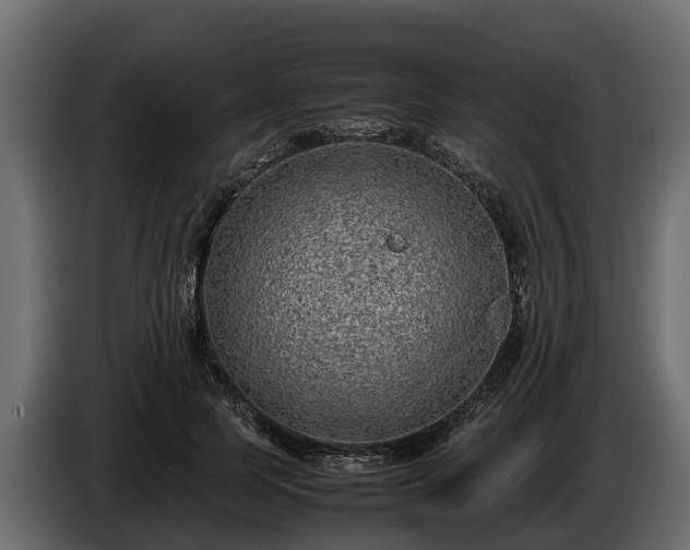 X0000085780745200703231245