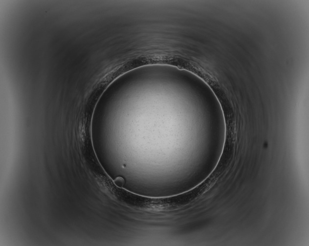 X0000085780746200703231245