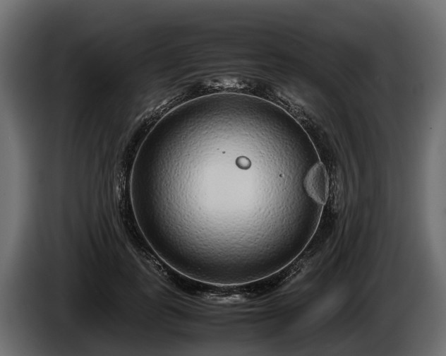 X0000085780747200703231245