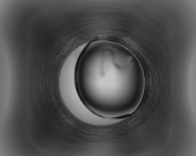 X0000085780750200703231245