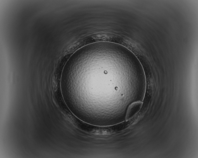 X0000085780751200703231245