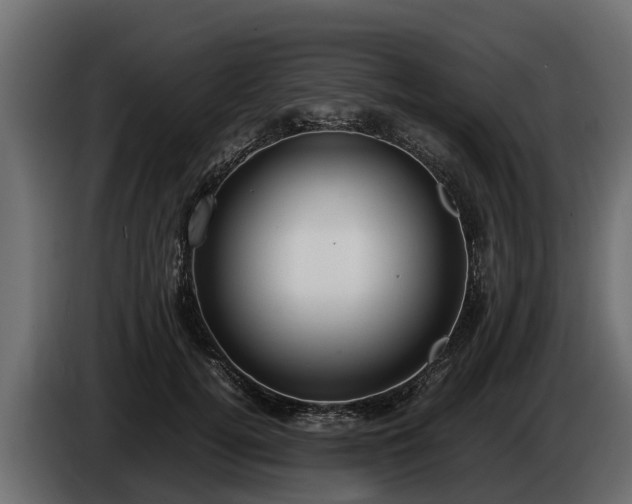 X0000085780752200703231245