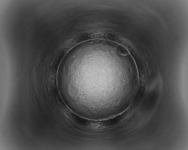 X0000085780753200703231245