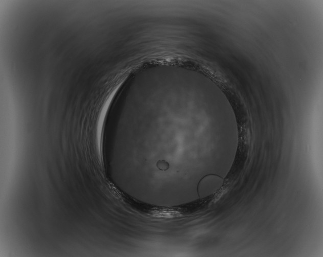 X0000085780754200703231245