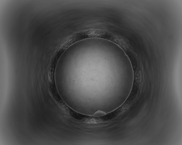 X0000085780755200703231245